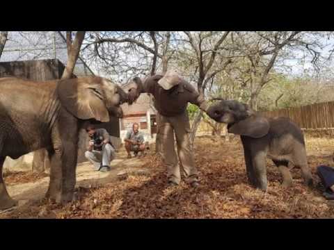 First Dedicated Elephant Nursery in South Africa