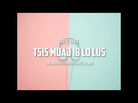 Poj Ntxoog Productions | David Yang - "Tsis Muaj Ib Lo Lus" (REMIX)