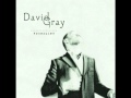 fixative - david gray