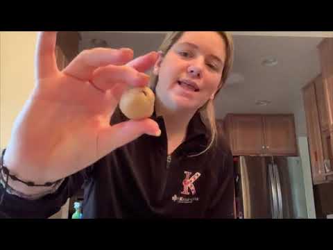 Cooking with Kinney: Chocolate Chip Cookies - June 24, 2020