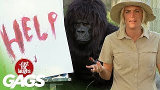 Смотреть онлайн Розыгрыши с гориллой
