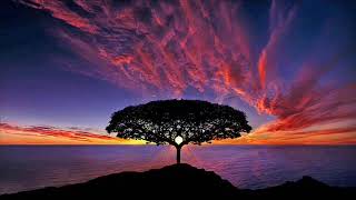 Lupo feat Rossella - CONTROtempo