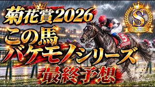 🎯【菊花賞2026】最終予想はロブチェンは指名せず!私の使命はさきちゃん?
