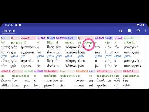 Biblia Interlineal Hebreo/Gr. Video