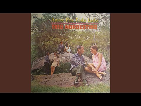 Brincadeira Na Fogueira - Trio Nordestino