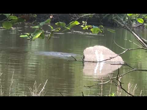 Horn Pond in Woburn Massachusetts