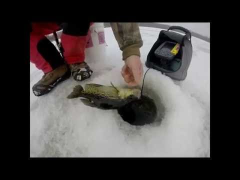 Fishing with the Roach's