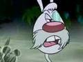 Brandy Mr Whiskers Two Heads Are NOT Better Than One