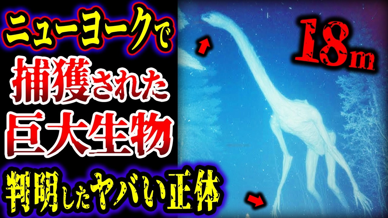 【ゆっくり解説】捕獲成功…ニューヨークの湖に現れた１８mの巨大生物…判明したヤバい正体とは…!!!【UMA・未確認生物】