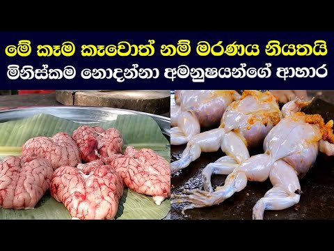 මරණය උරුම කර දෙන ලොව භයානකම ආහාර Exploring Potentially Harmful Foods Risks and Safety Precautions