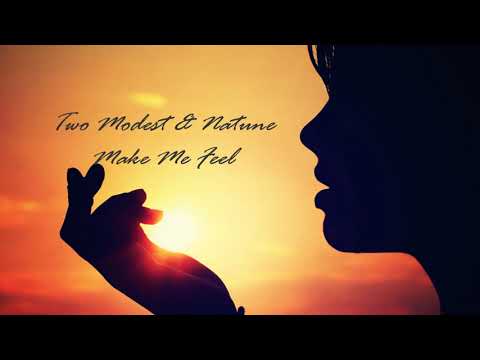 Two Modest & Natune - Make Me Feel (Original Mix) 2021