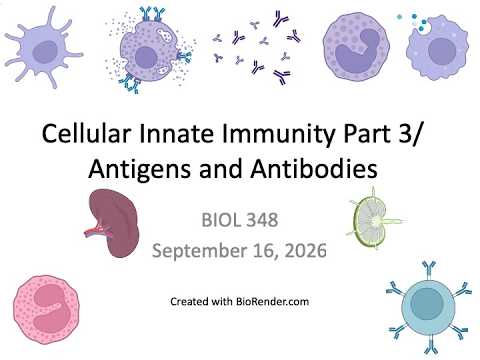 Immunology Fall 2026: Lecture 7 Cellular Innate Immunity Part 3/Antigens and Antibodies