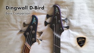 Video thumbnail for DINGWALL D-Bird Standard vs. Custom | Bass Comparison by Rufus Mann