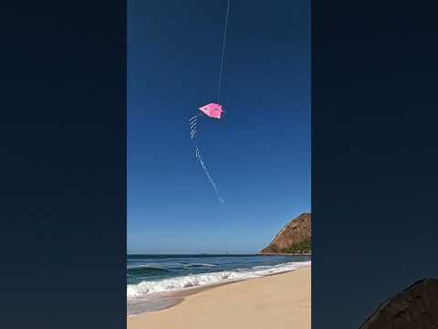 pipa TOP DE MAIS ! #shorts @diamantepipas @jeannunespipas @PIPACOMBATEOFICIAL @biscoitopipas #pipa #021