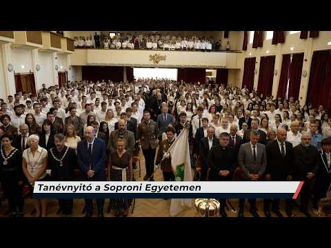 Híradó – 2026.09.09. – Szerda