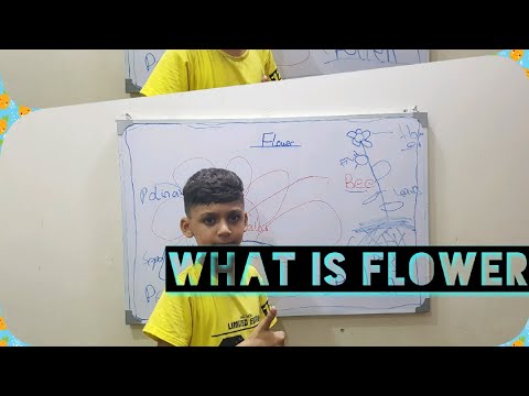 WHAT IS FLOWER ? FULL EXPLANATION BY STUDY WITH UBAID...