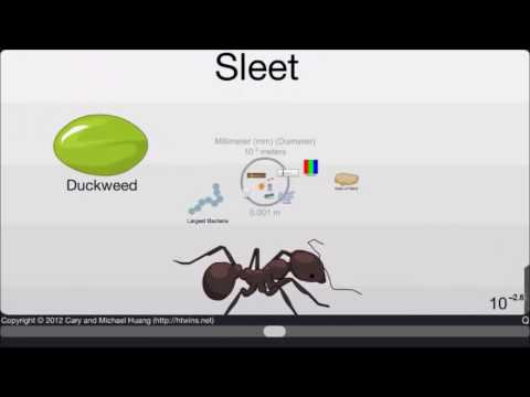 So small are „nano” and “micron” scale