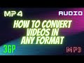 How To Convert Video In Mp4 3gp Audio Mp3 Every Format Format Factory Helper Of The Year