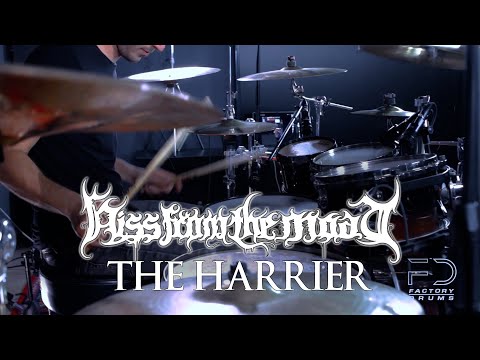 @HissfromtheMoat - "The Harrier" James Payne (Drum Playthrough)
