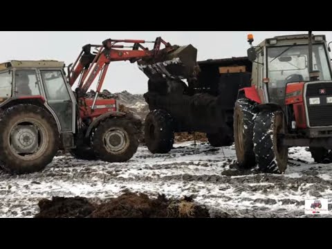 SO MUCH MUCK TO SPREAD NOT ENOUGH TIME TO DO IT! MUCK SPREADING 2026 WITH MASSEY FERGUSON 390 + 390T