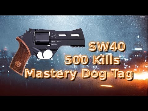 Battlefield 4 | SW40 Mastery Dog Tag