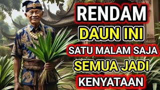 Download lagu SILAHKAN DI COBA !!! 6 Khasiat Ghaib Daun Pandan Menurut Primbon Jawa mp3