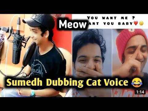 sumedh dubbing cat voice 😂 meow 😅 and play with her || #sumedhmudgalkar #mallikasingh