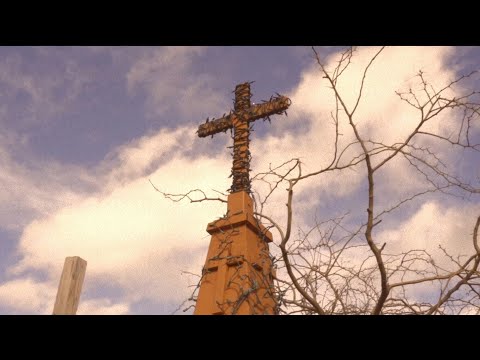 joMi - Anchor Babies (Official Music Video)