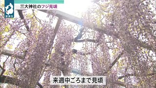 ４月21日 【びわ湖放送ニュース】