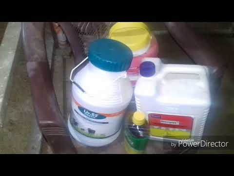 Poultry Farming Medicines