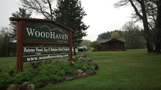 WoodHaven Log & Lumber Mini documentary