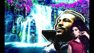 Høt Flamingø - Tears Dry On A Mountain High Enough (Marvin Gaye x Amy Winehouse MASHUP)