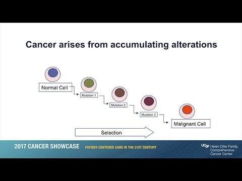 Personalizing Cancer Care and Treatment