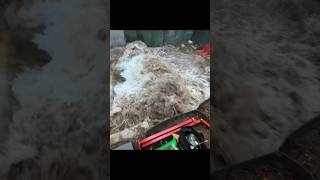 Download lagu NOAQ Boxwall Flood Barrier Vs Huge Wave #shorts #floodbarrier #NOAQBoxwall mp3