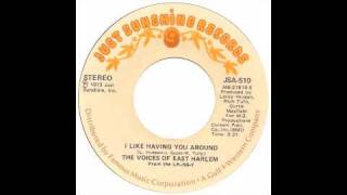 The Voices Of East Harlem - I Like Having You Around - Raresoulie