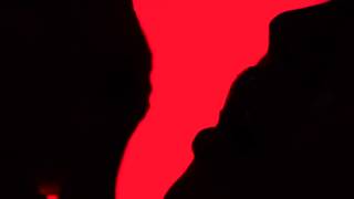 Animal Collective  -  Applesauce