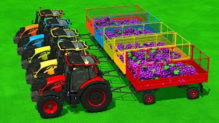 GRAPE HARVEST & WATERMELON TRANSPORT Challenge 🍇🚜 Farming Simulator 25
