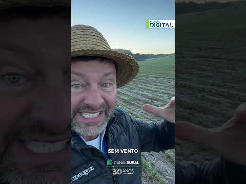 Geada surpreende produtor rural no sudoeste do Paraná