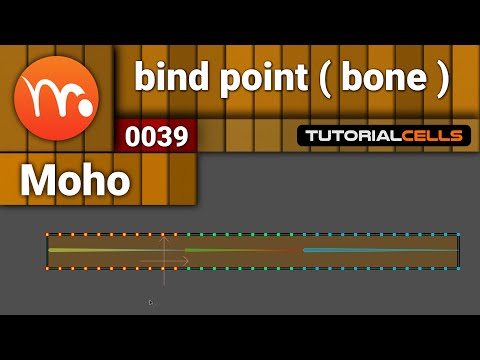0039. bind point tool for bone in moho