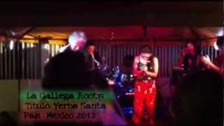 KAYA  ROOT'S- YERBA SANTA