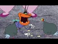 Oggy And The Cockroaches BIRDS DEEDEE Full Episode HD