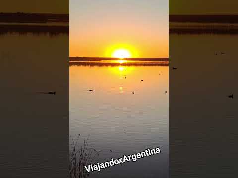 Lago Pellegrini  -  Cinco Saltos  #patagonia  #argentina #travel