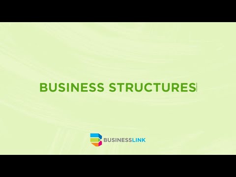 Business Structures