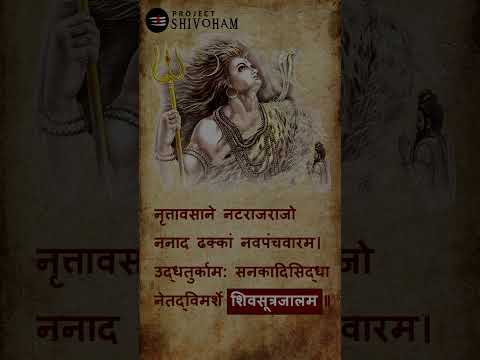 Sanskrit or Tamil ? || #Shorts 005 || Project SHIVOHAM