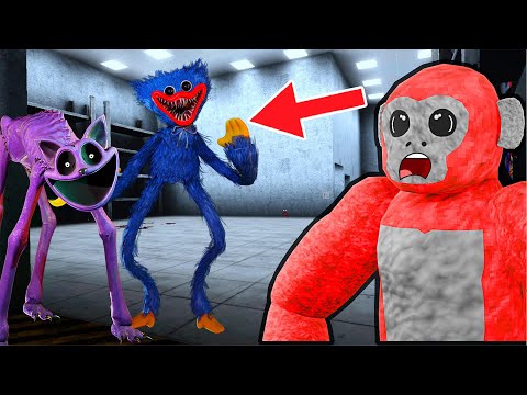 We Found EVERY Monster In Scary Baboon...