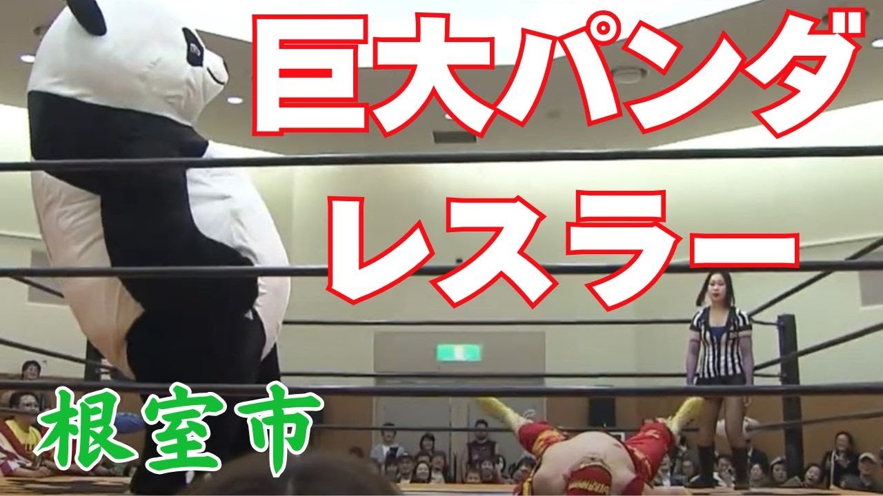 救世主は巨大なパンダ～プロレスで町おこし