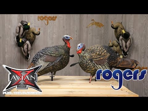 Avian-X Jake Turkey Decoys