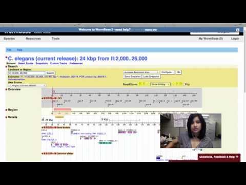 Intro to WormBase: Find Genes in a Region