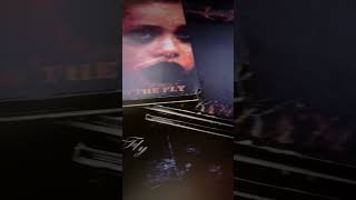 Experience “Killing The Fly” from …An Education In Rebellion live on the #BackToThe2000sTour