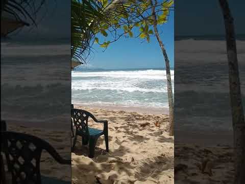 #sea #beach #nice #water #osum #chair #tree #nature #capture #oddy